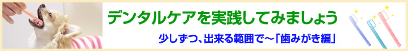 ŏo錢̃n~KLH@