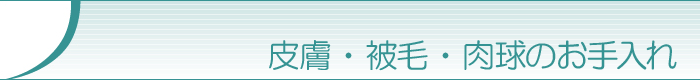 畆EсÊ