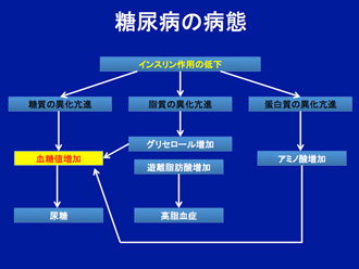 学会発表