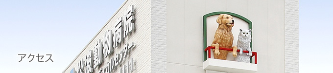 アクセス