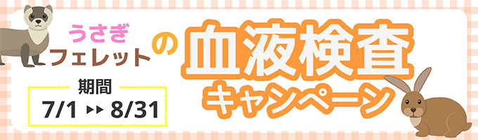 血液検査キャンペーン