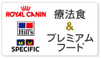 フード