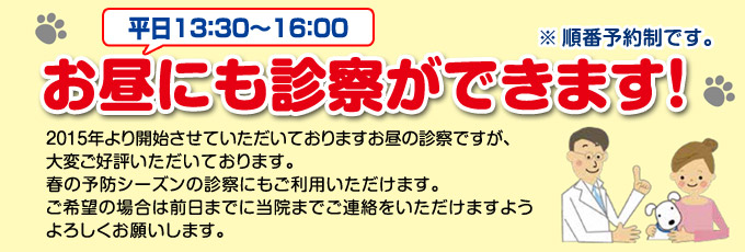 お昼の診察