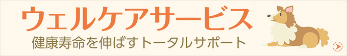 ウェルケアサービス