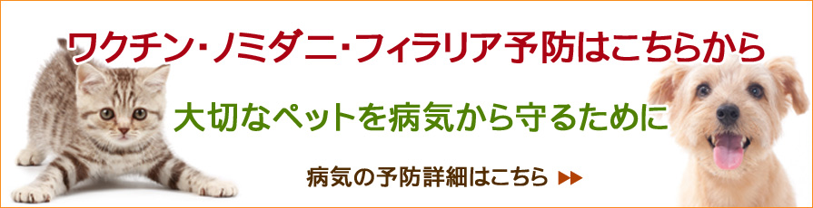 病気の予防