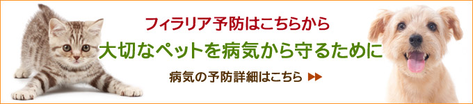 病気の予防