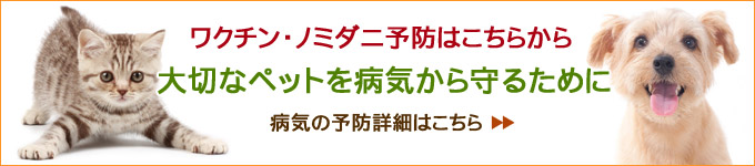 病気の予防