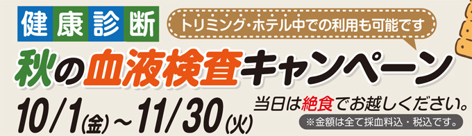 健康診断
