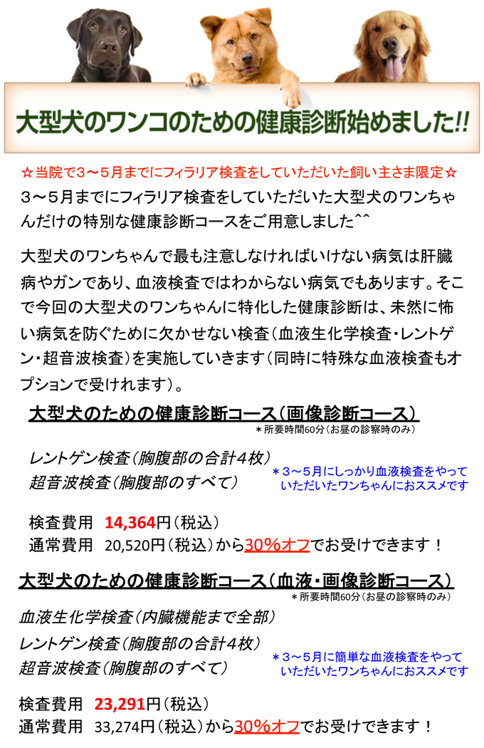 大型犬健康診断