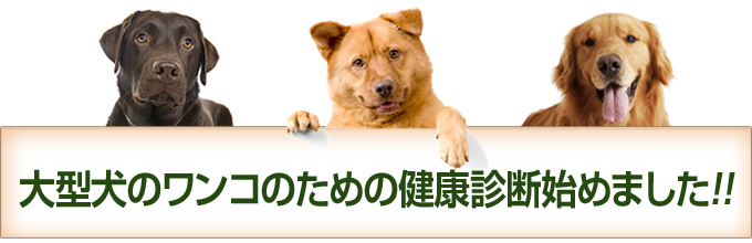 健康診断