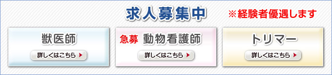 募集