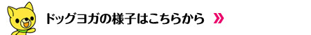 キッズ職場体験イベント