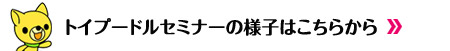 トイプードル