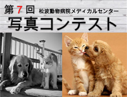 ペットの写真コンテスト第2回