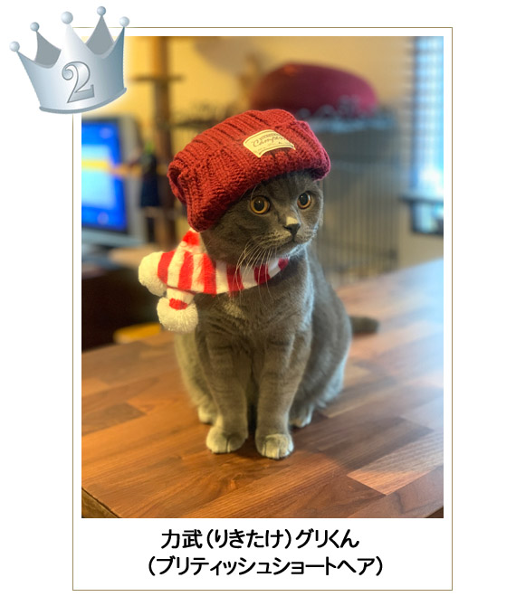力武(りきたけ)グリくん