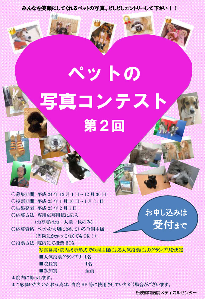 ペットの写真コンテスト第2回