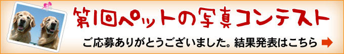 飼い主様向けセミナー