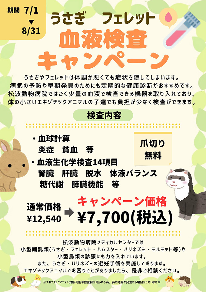 エキゾチックアニマル診療