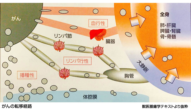 健康診断