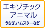 エキゾチックアニマル