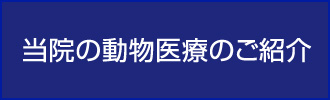 当院の動物医療のご紹介