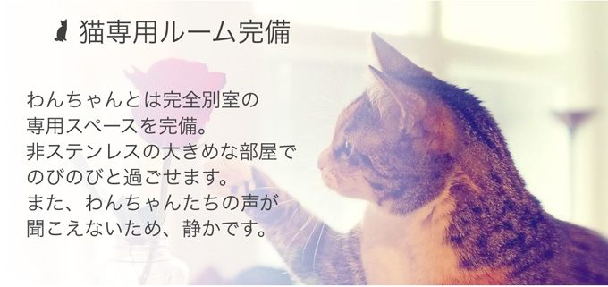 猫専用ルーム完備