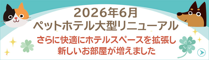 ペットホテルリニューアル