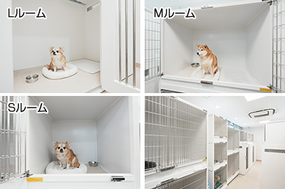 通常部屋　ワンちゃん用