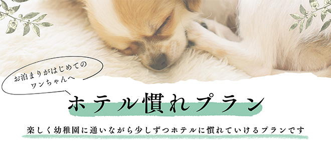 ホテル慣れプラン