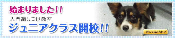 ジュニアクラス