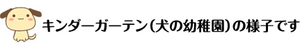 キンダーガーデン