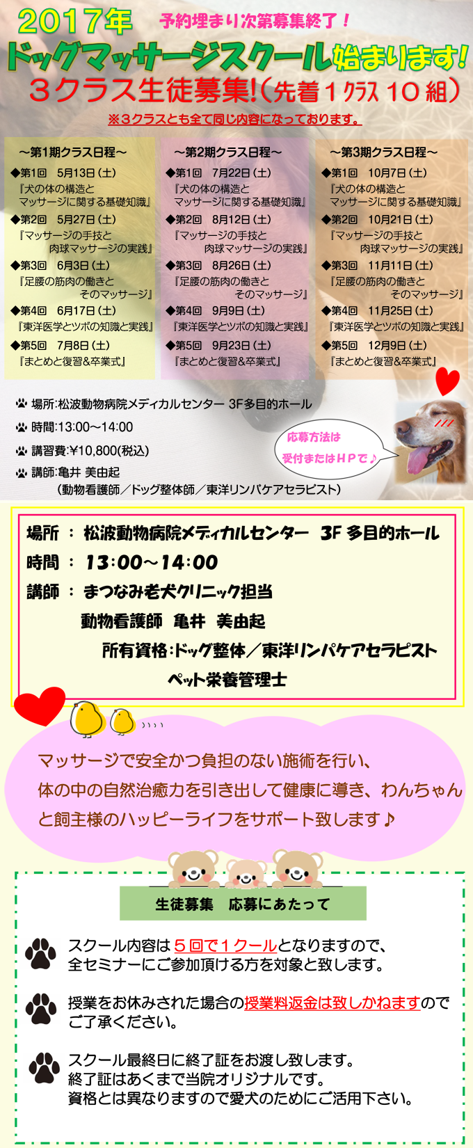 ドッグマッサージ