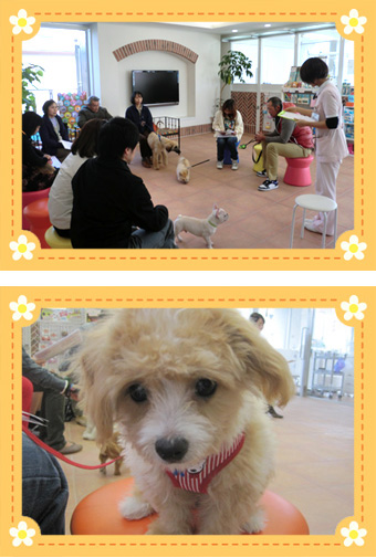 パピークラス