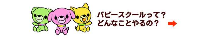 パピースクール