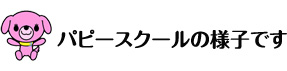 パピースクール