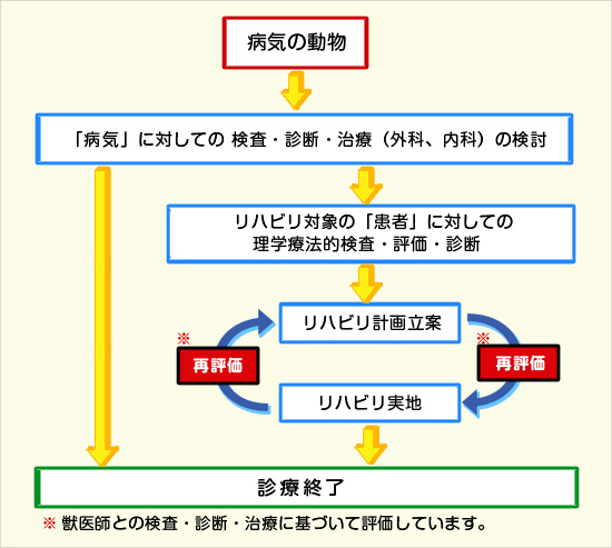 リハビリテーションの流れ