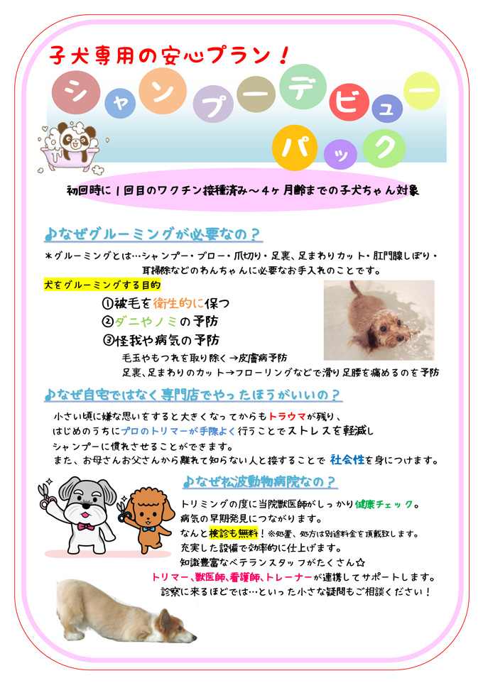 シャンプーデビューパック 松波動物病院メディカルセンター