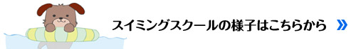 スイミングスクールの様子