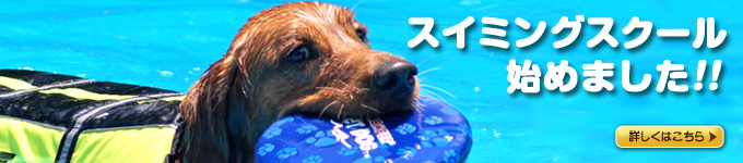スイミングスクール