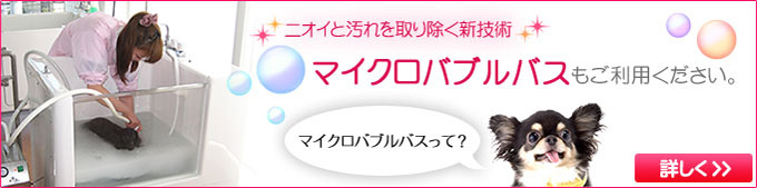 マイクロバブルバス