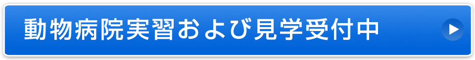 インターンシップ