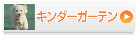 キンダーガーテン